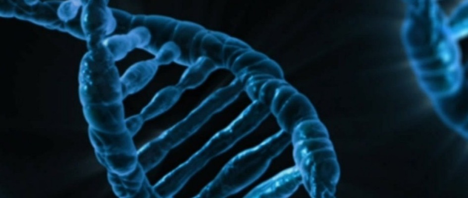 Diagnósticos genéticos con Citogenfarma y Federación Farmacéutica
